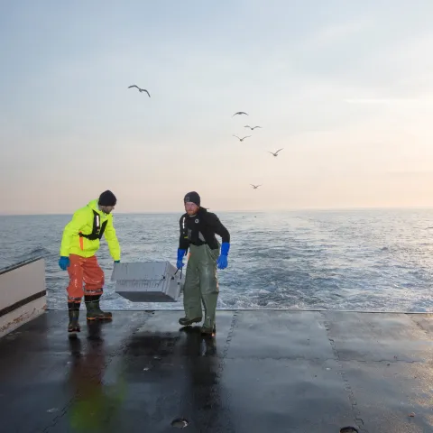 Two fishers on a boat